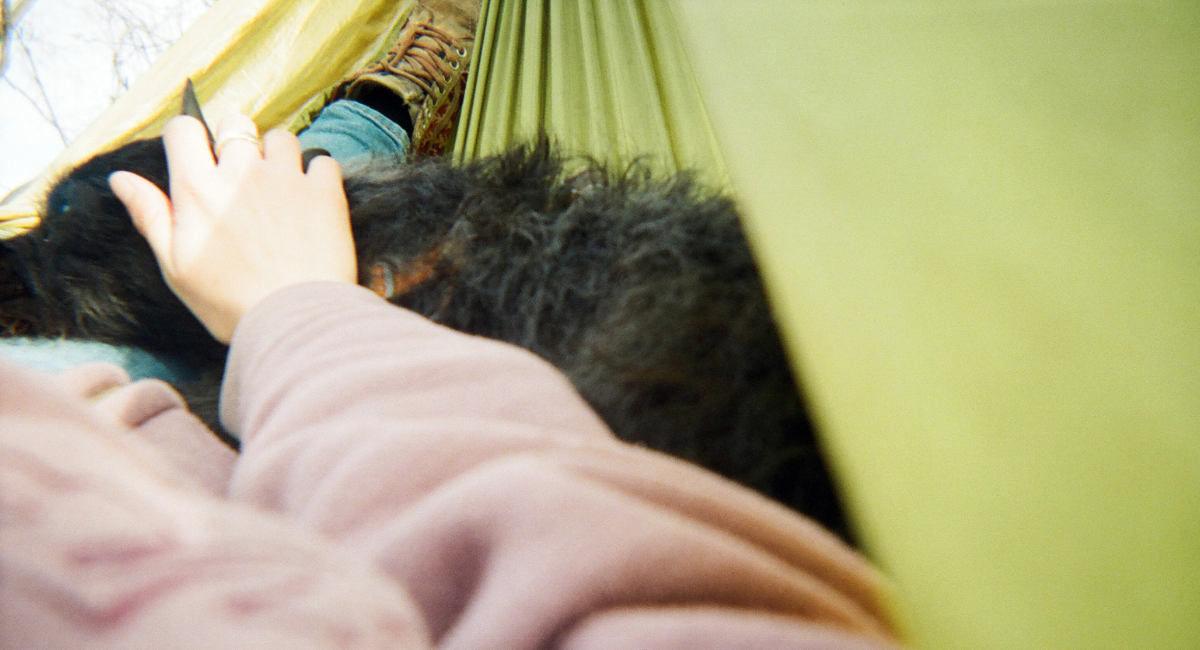 Dog sits in person's lap in hammock