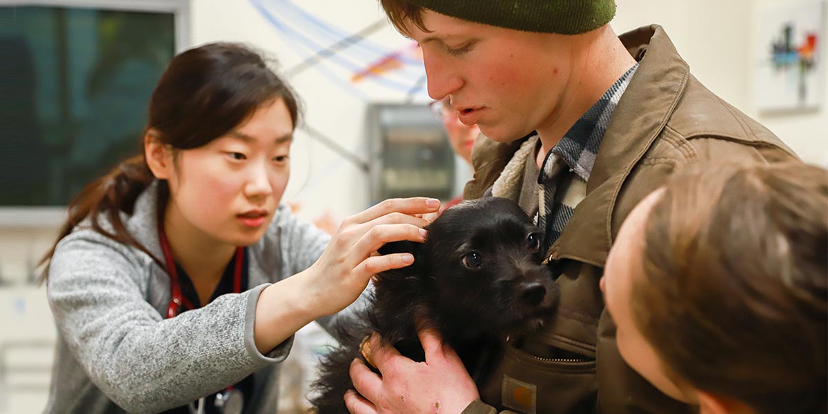 Both pets and people receive care at One Health Clinic. Photo by Gemina Garland-Lewis.
